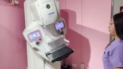 Hermosillo Has the Highest Number of Registered Breast Cancer Cases in Sonora