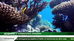 Коперник: Август е сред най-горещите месеци, регистрирани на Земята