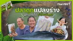 Catfish Transformations: Generating Income at Lam Sai Phatthana | Rural Superpower