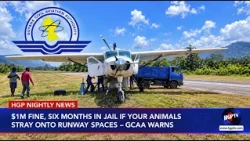 $1M Fine, Six Months In Jail If Your Animals Stray Onto Runway Spaces — GCAA Warns